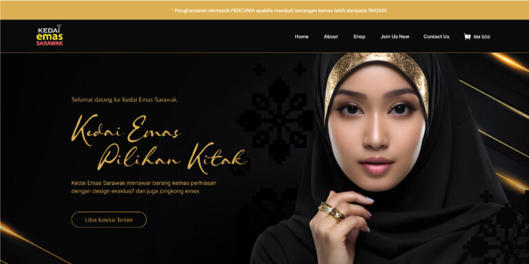 WEB DESIGN SARAWAK 04 Moolah Design