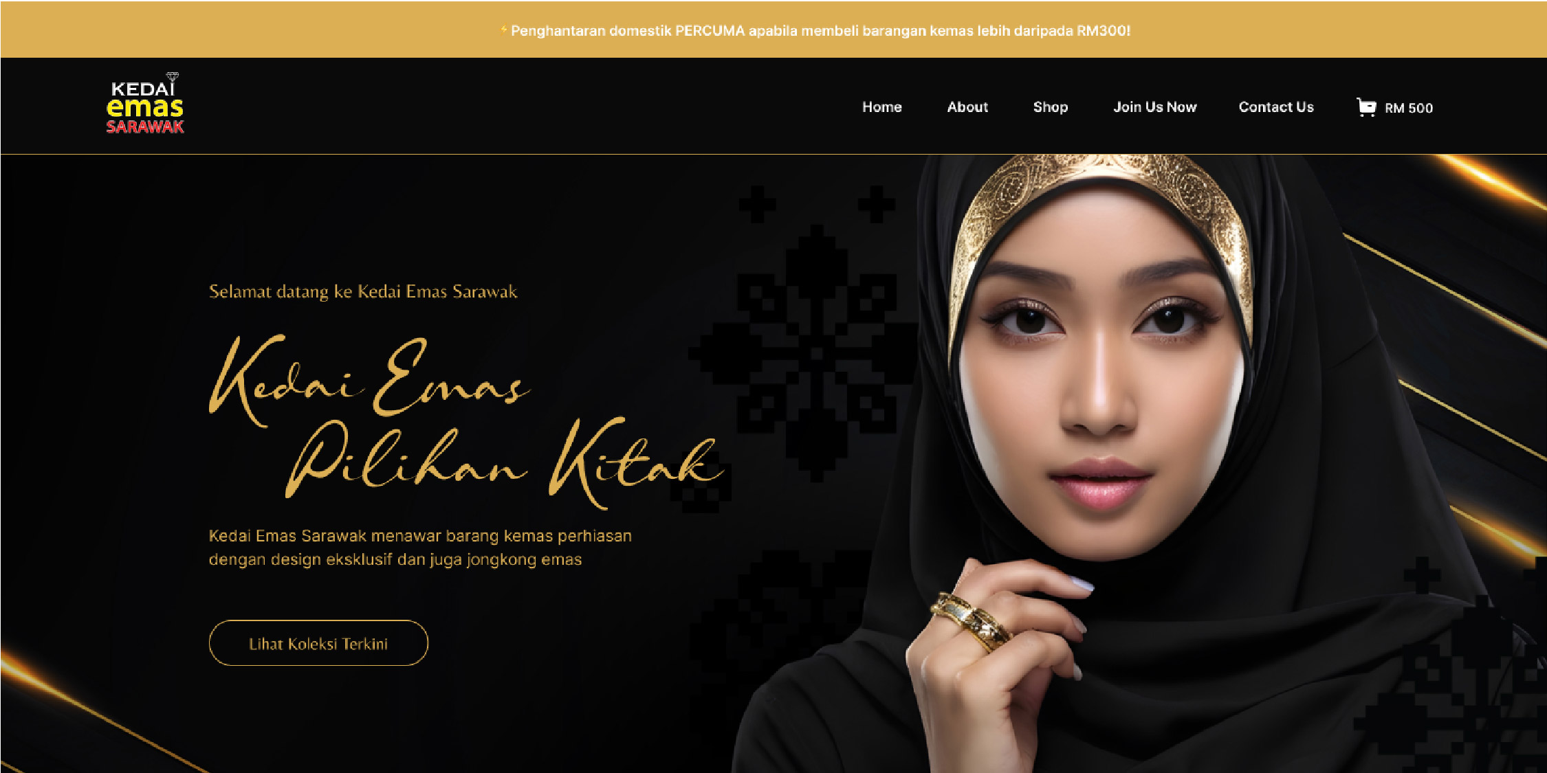 WEB DESIGN SARAWAK 04 Moolah Design